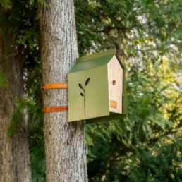 Meisenbox, Nisthilfe von Satura im Einsatz, Montage am Baum mit Ledergurt