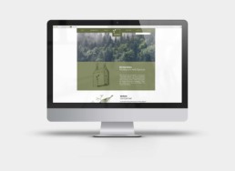 Webdesign Stiftung Satis, Ansicht Landingpage Satura