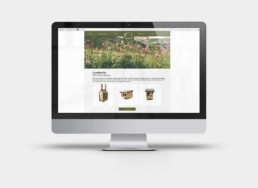 Webdesign Stiftung Satis, Ansicht Landingpage Satura